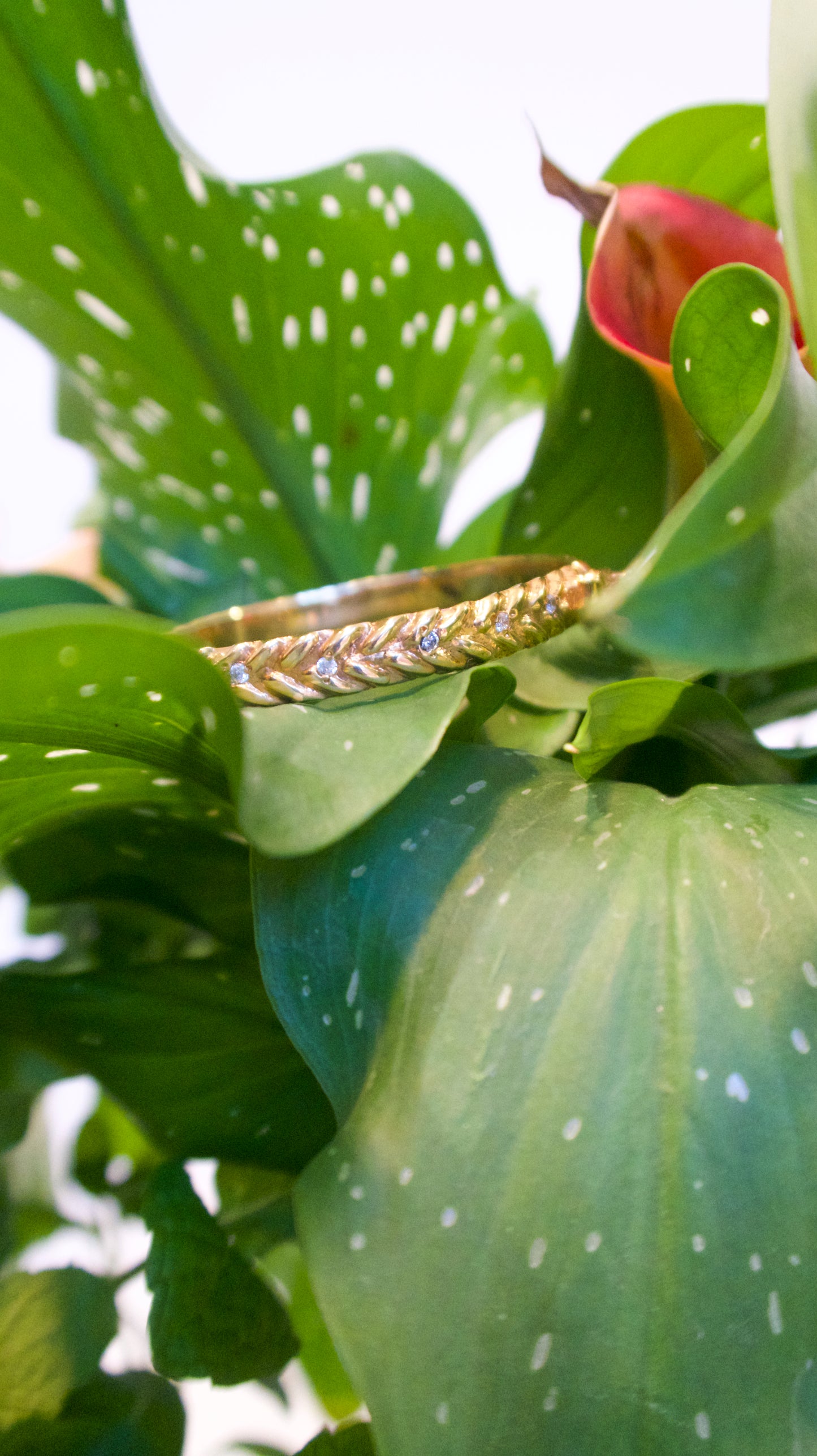 DAFIIRA Braid Diamond Bangle Bracelet