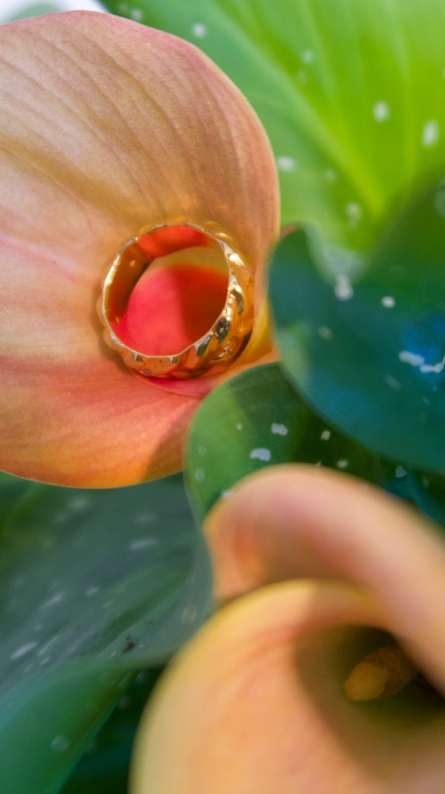 DAFIIRA Braid Ring